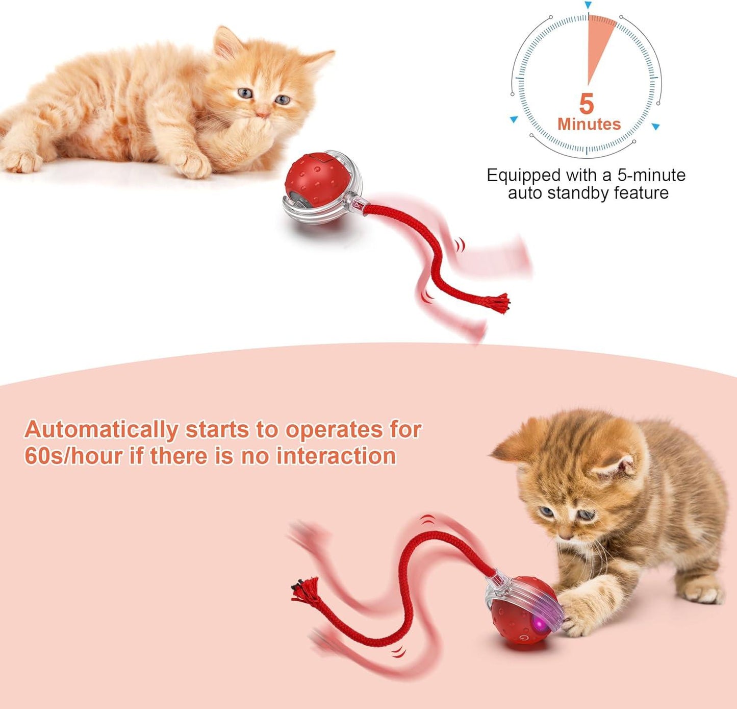 RoboPaw Interactive Toy