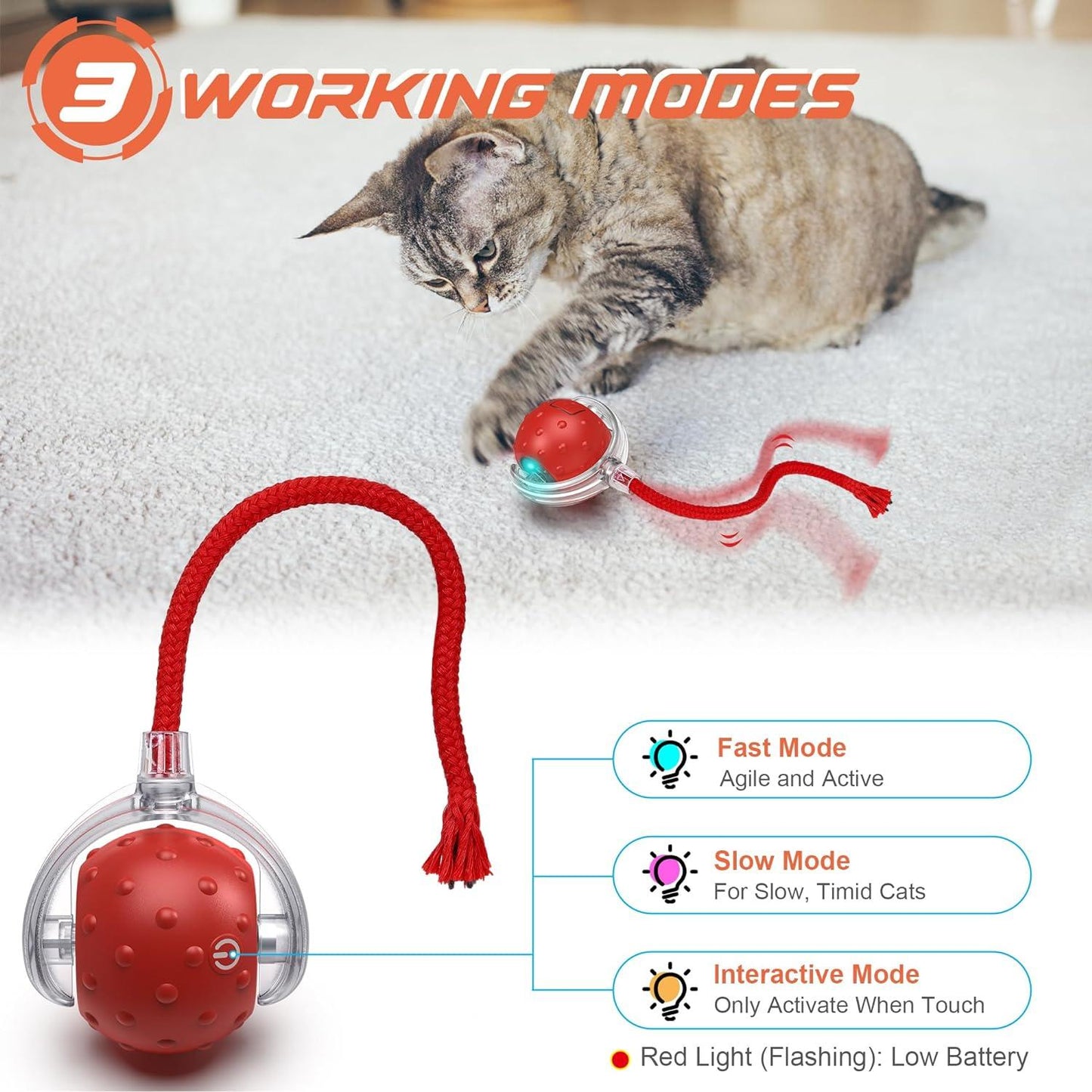 RoboPaw Interactive Toy