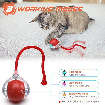 RoboPaw Interactive Toy