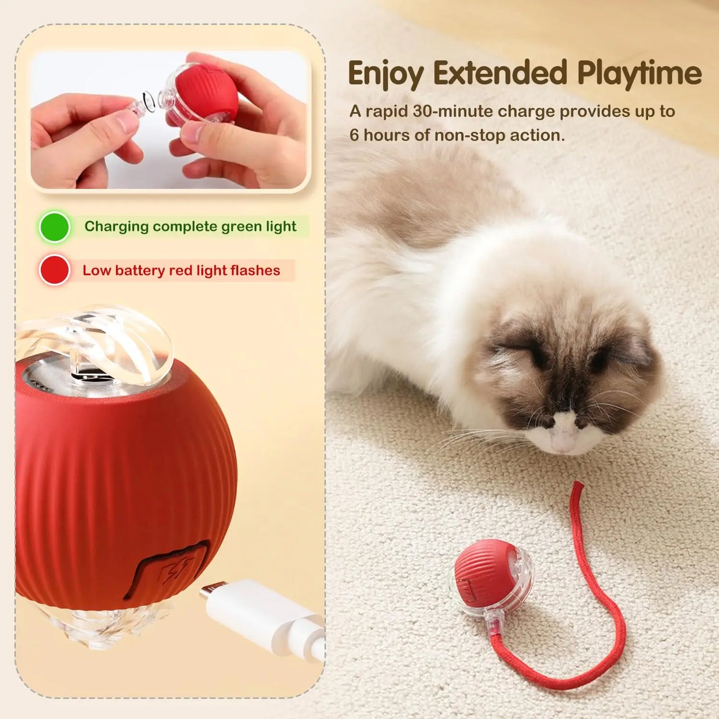 RoboPaw Interactive Toy