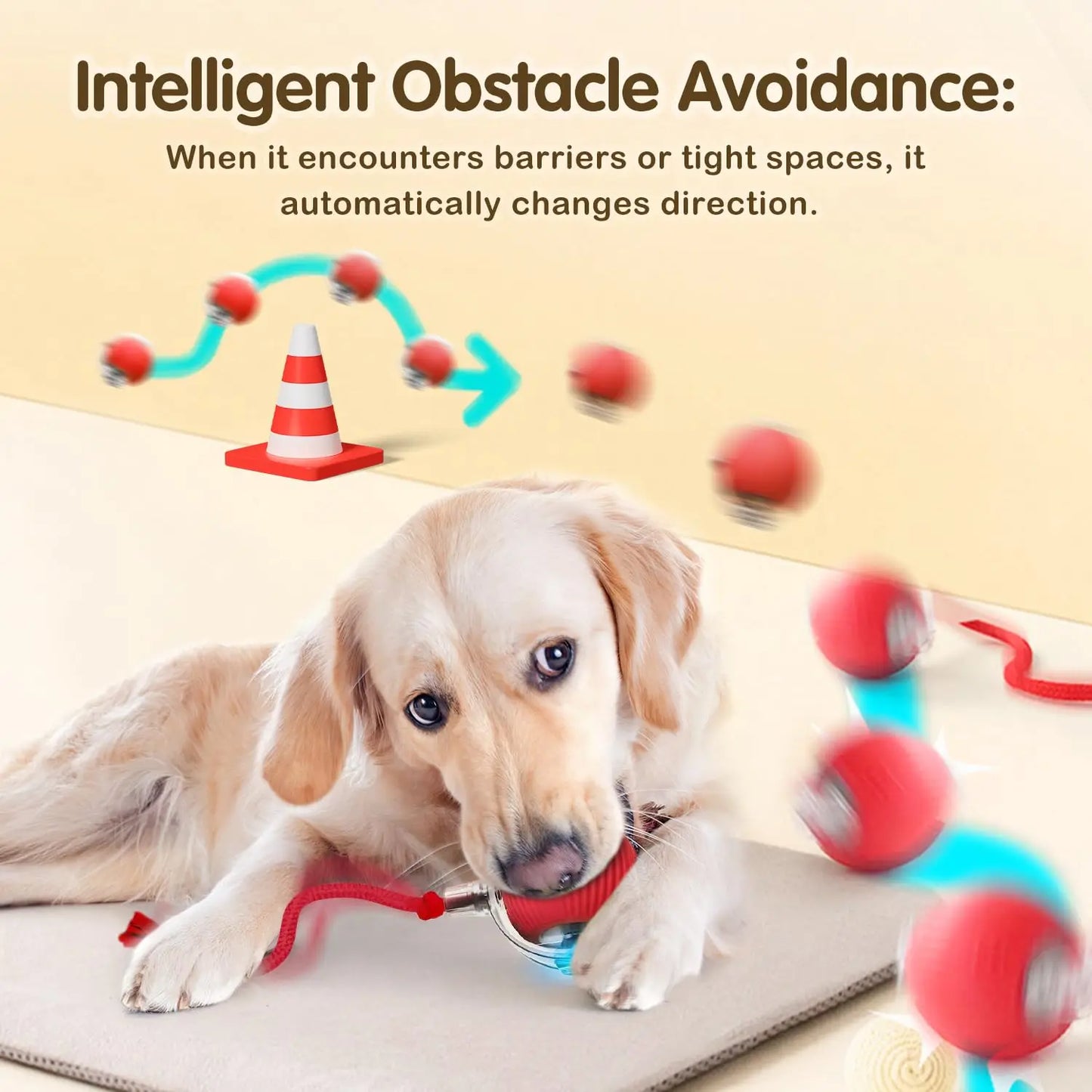 RoboPaw Interactive Toy