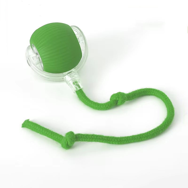 RoboPaw Interactive Toy