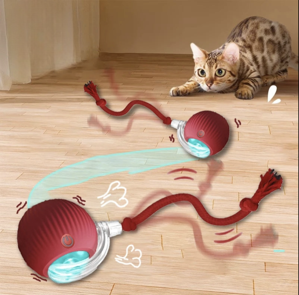 RoboPaw Interactive Toy